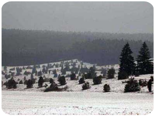 Naturschutzgebiet Digelfeld im Winter