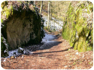 Wolfstal